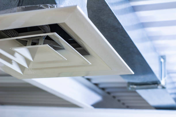 Best Local Air Duct Cleaning Services  in Havana, IL